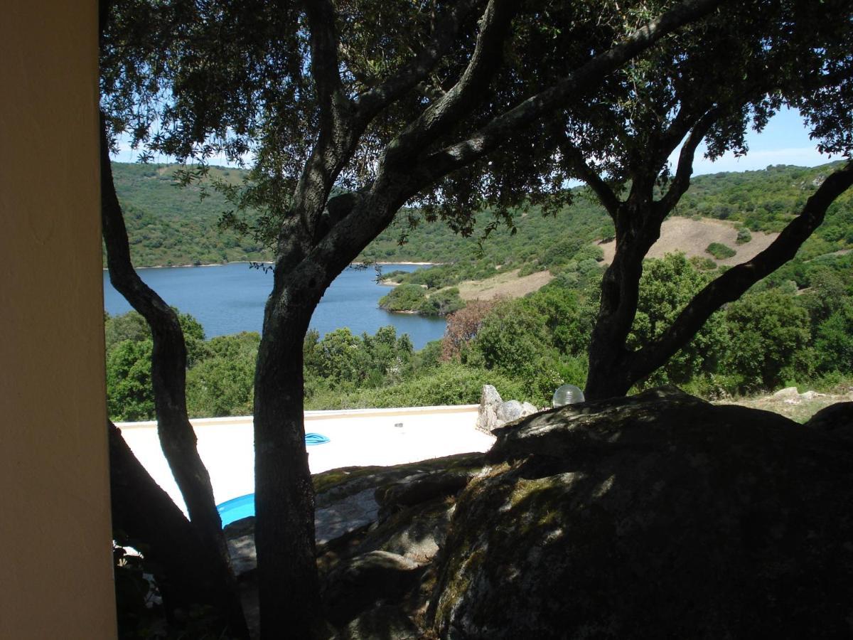 Hotel Valkarana Country Relais (Adults Only) 圣安托尼奥迪加卢拉 外观 照片